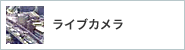 ライブカメラ